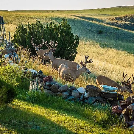 The Shepherd'S Retreat Livingston Extérieur photo