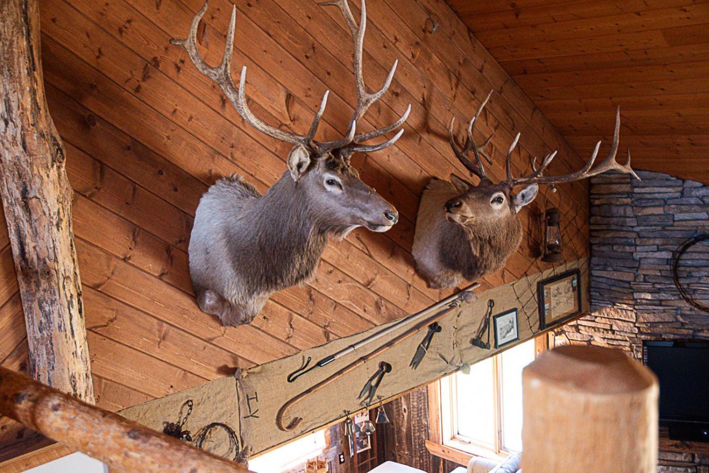 The Shepherd's Retreat Livingston